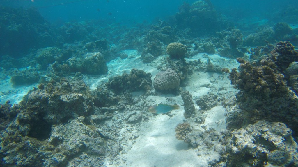 Lagoonarium
