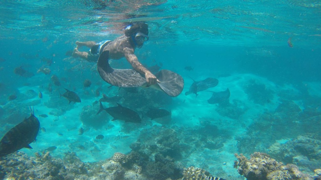 Lagoonarium