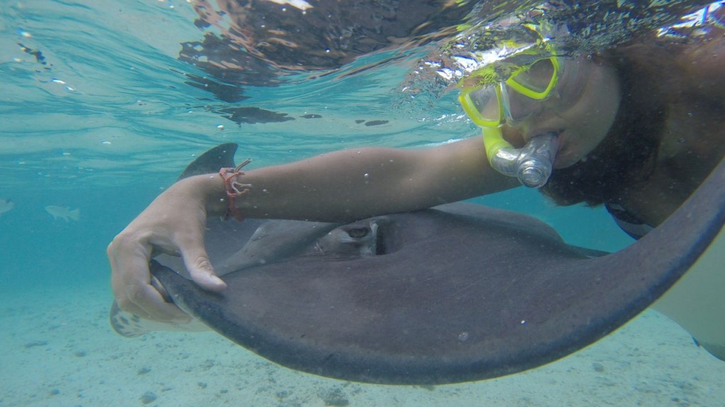 Lagoonarium