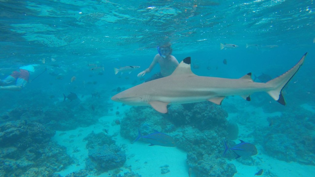 Lagoonarium