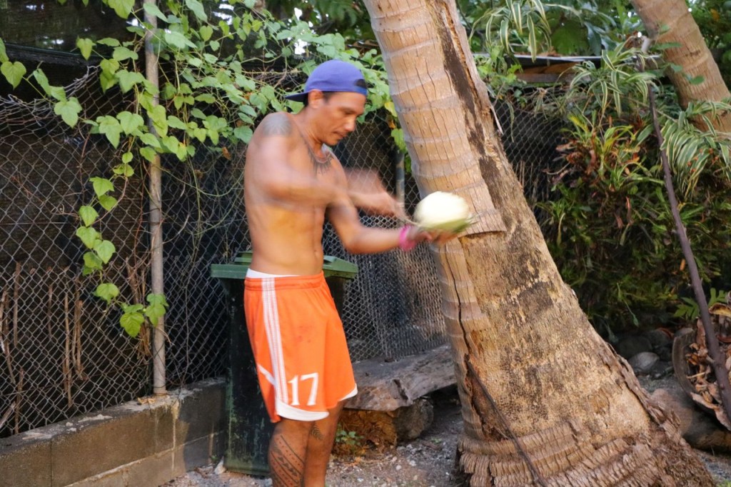 L'arbre à pain