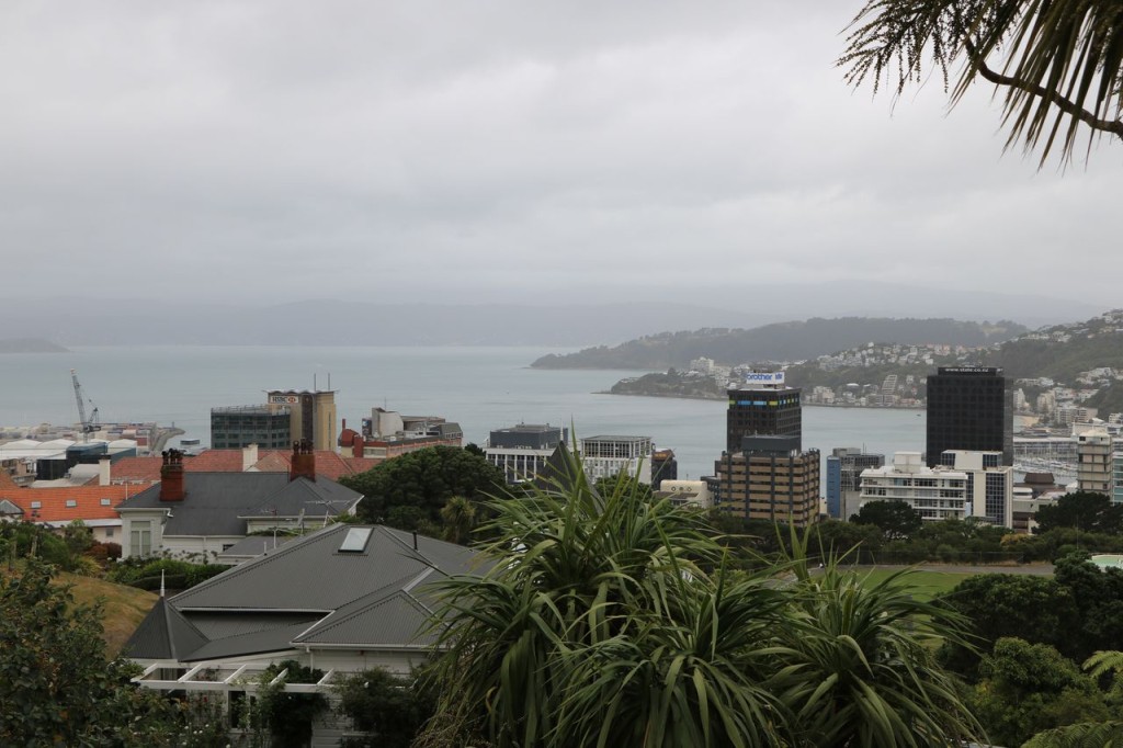 Vue sur Wellington