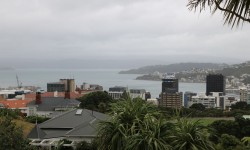 Vue sur Wellington