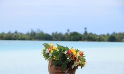 Jolies couronnes de fleurs