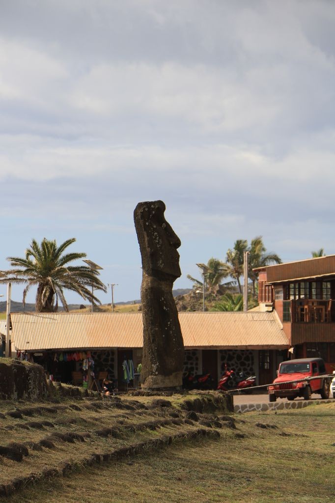 Premier Moai 