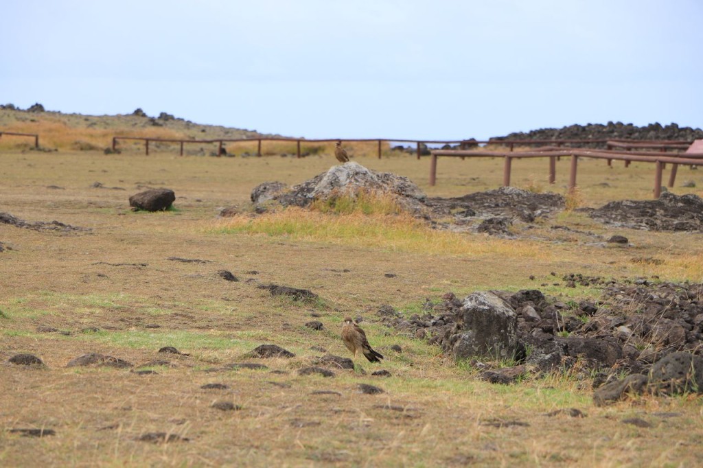 Ahu Hanga Te'e