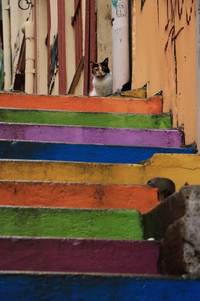Un habitant d'ici
