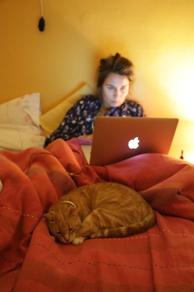 Tranquille le chat !