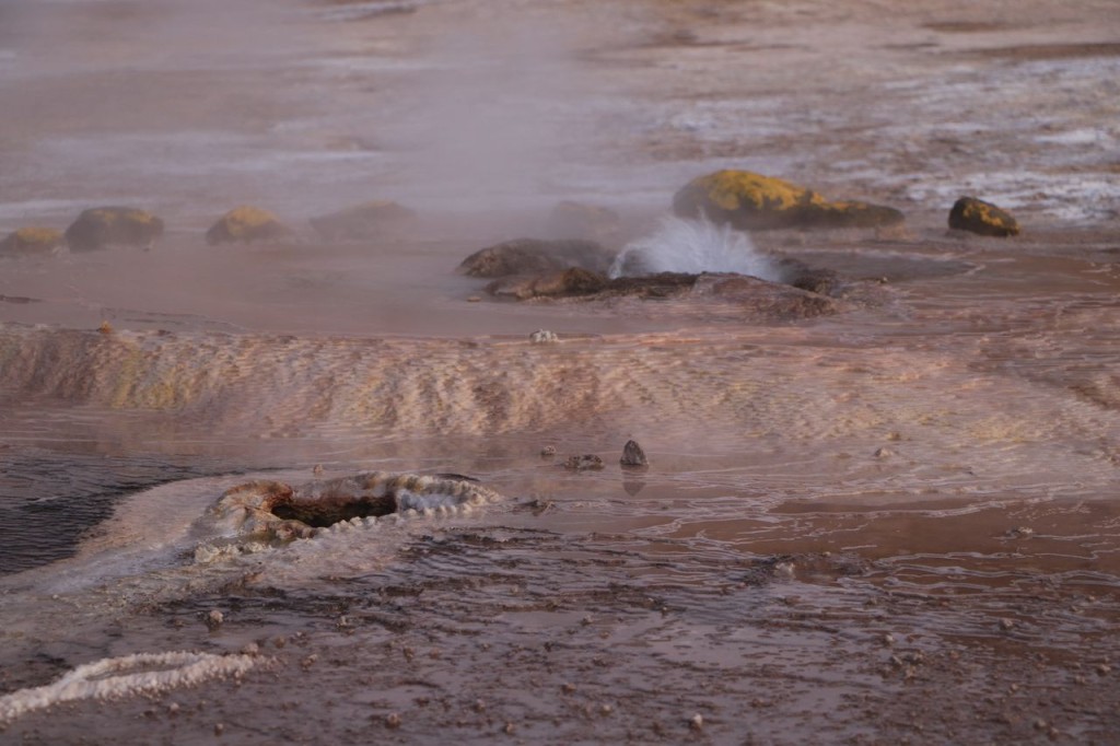 Geysers du Tatio