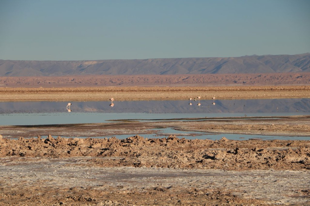 Paysage féerique