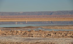 Paysage féerique