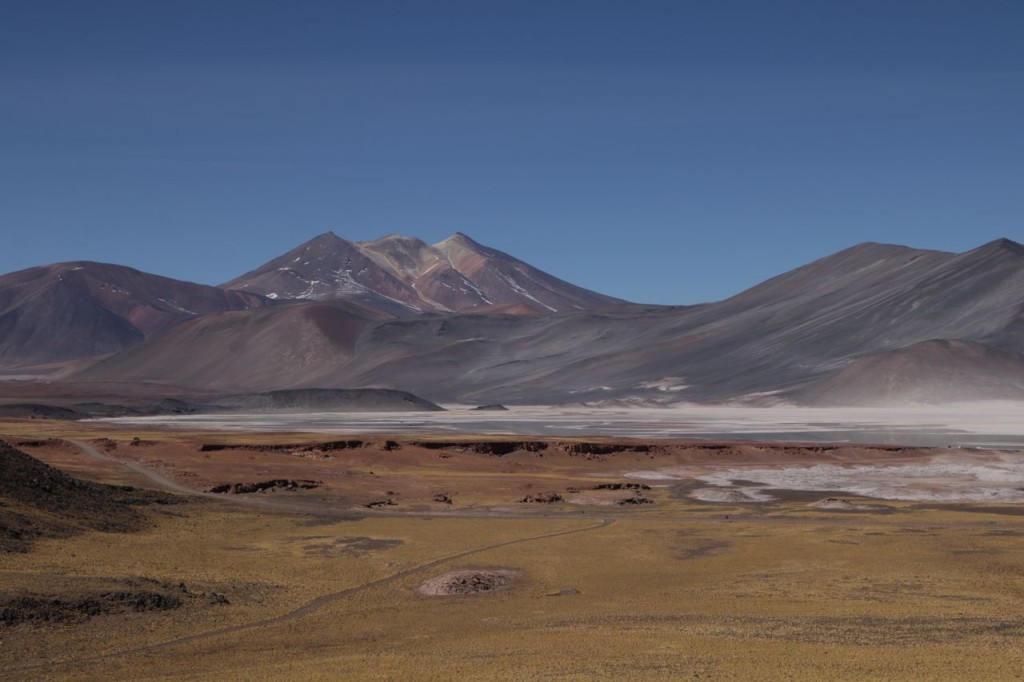 Salar de Talar