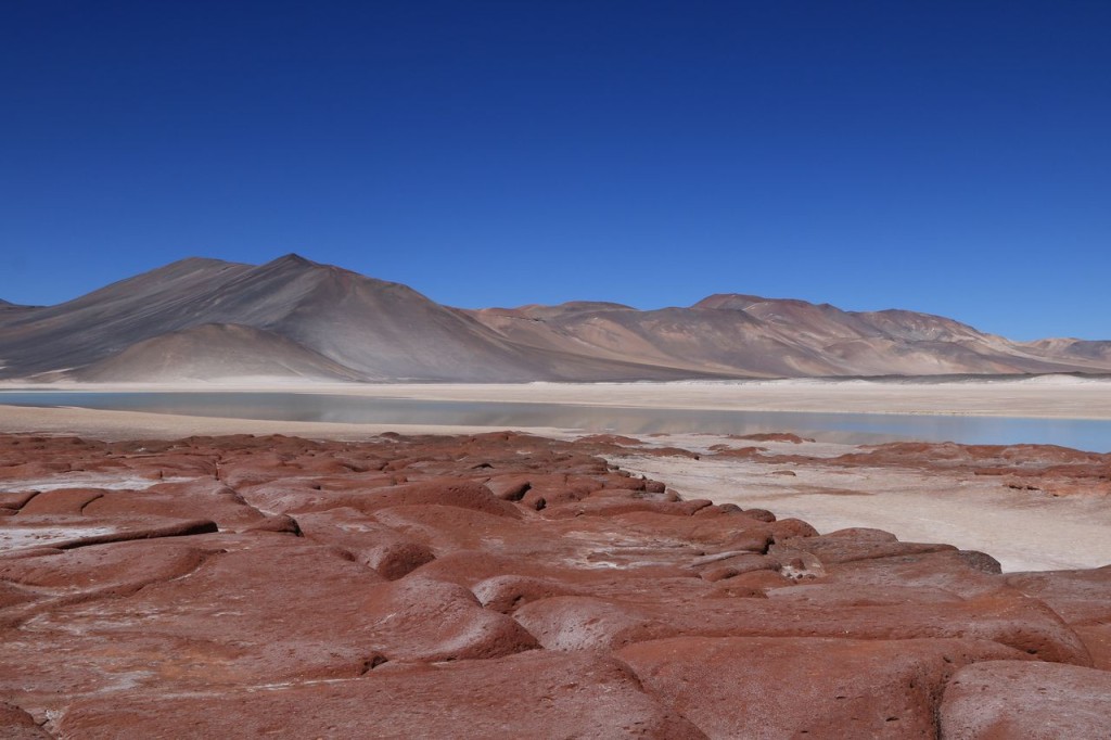 Salar de Talar