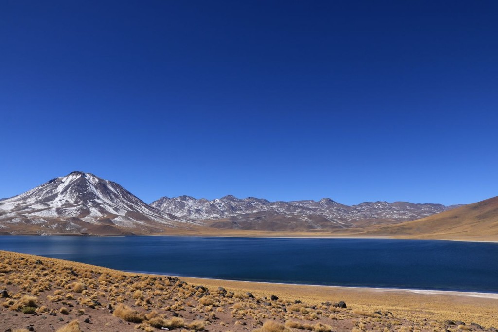 Lagunas Miscanti-Miniques