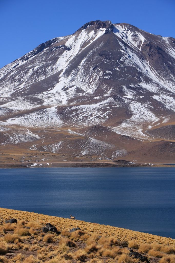 Lagunas Miscanti-Miniques