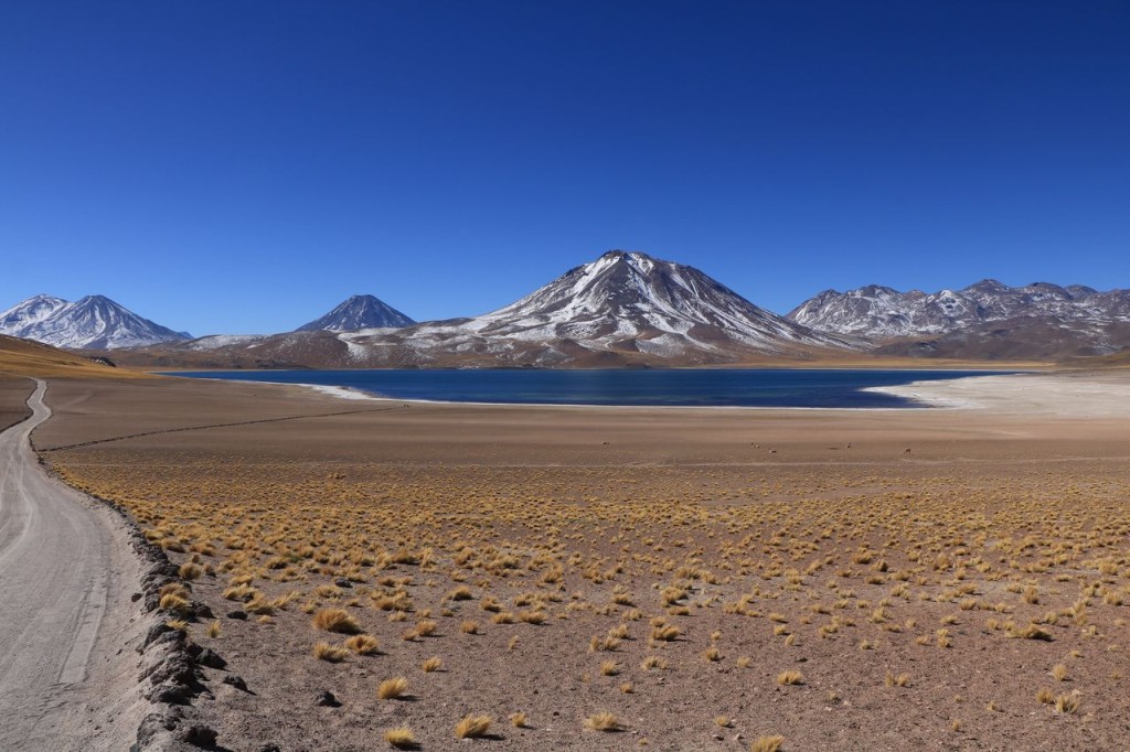 Lagunas Miscanti-Miniques