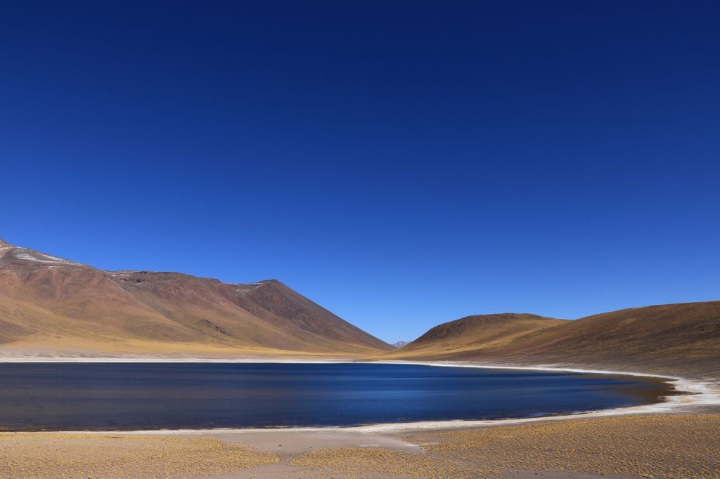 Lagunas Miscanti-Miniques