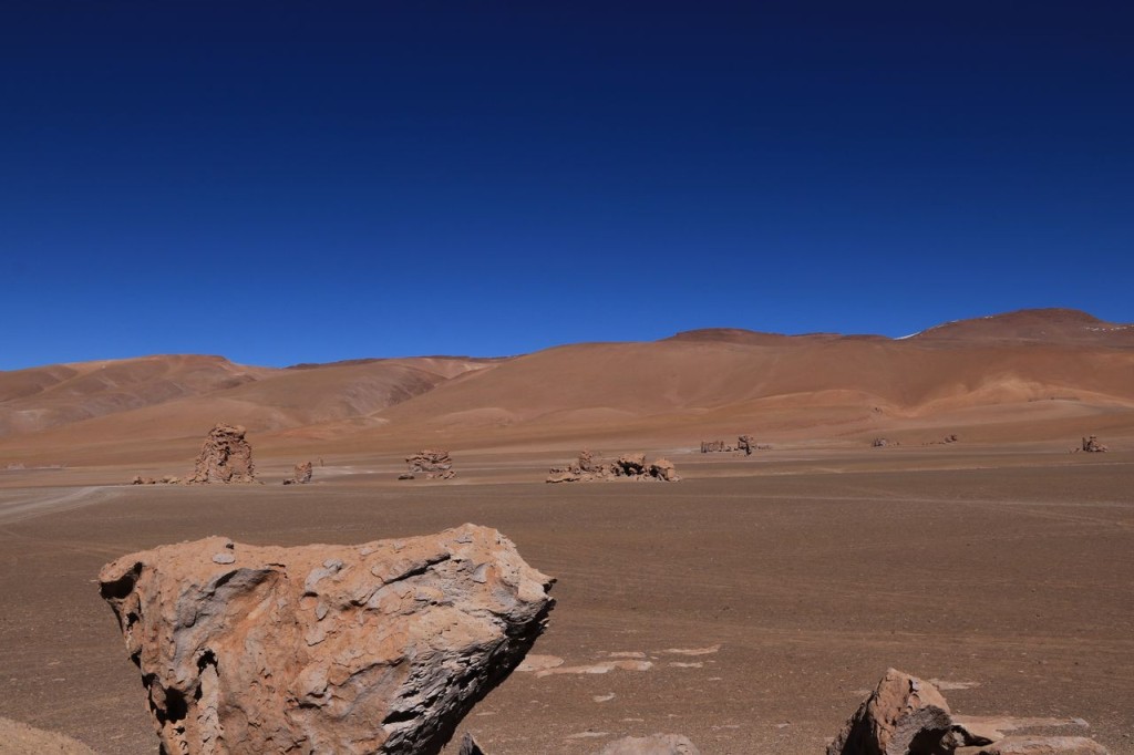 Salar de Tara