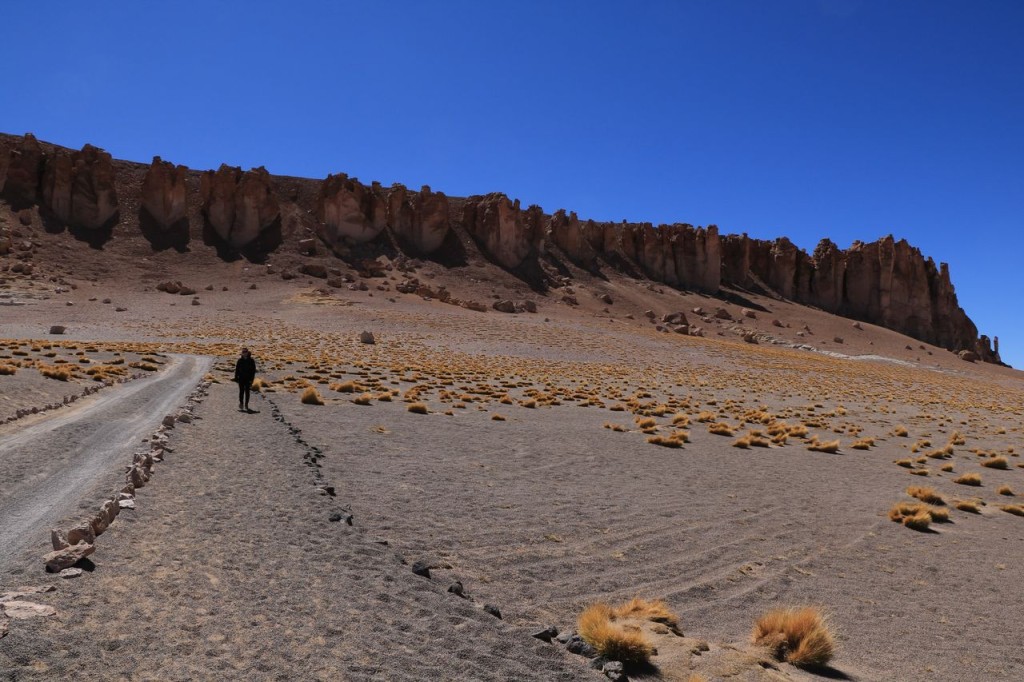 Salar de Tara