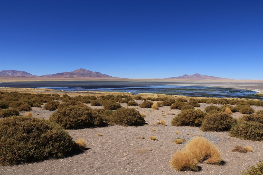 Salar de Tara