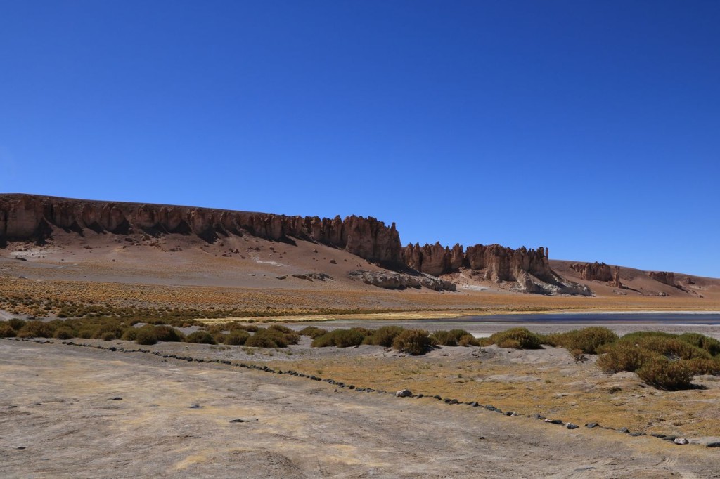 Salar de Tara