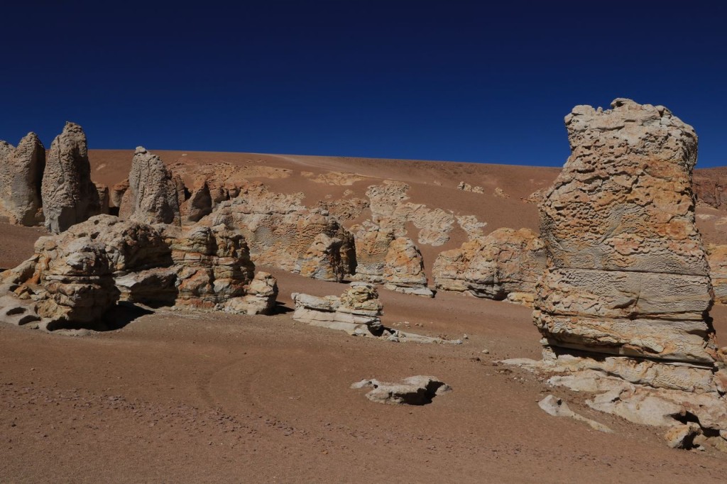 Salar de Tara