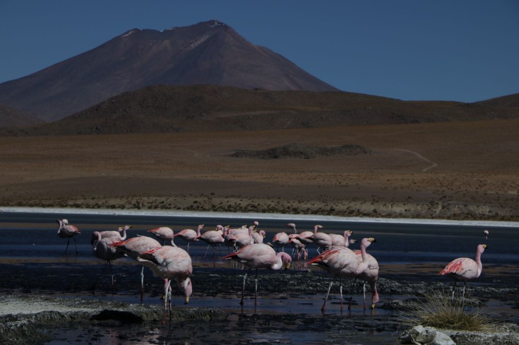 Sur la laguna Cañapa