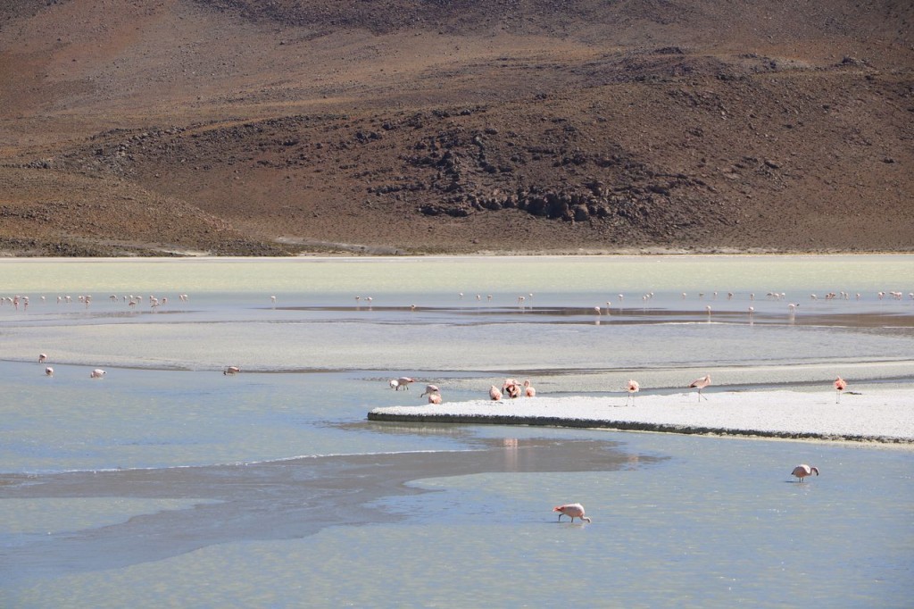 Laguna Hedionda