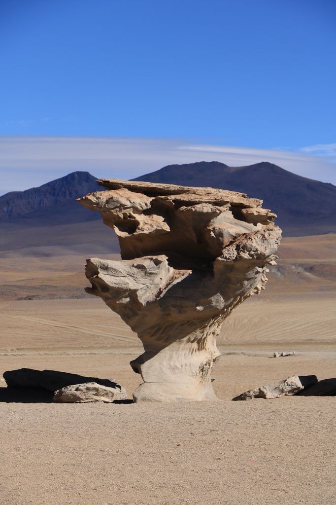 Arbol de Piedra