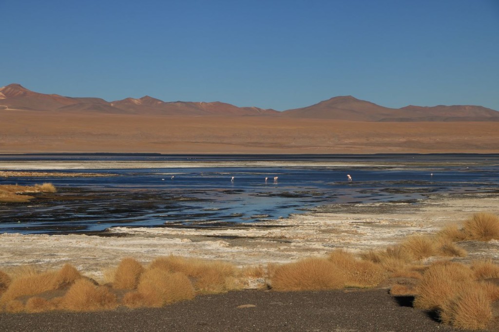 Laguna Colorada