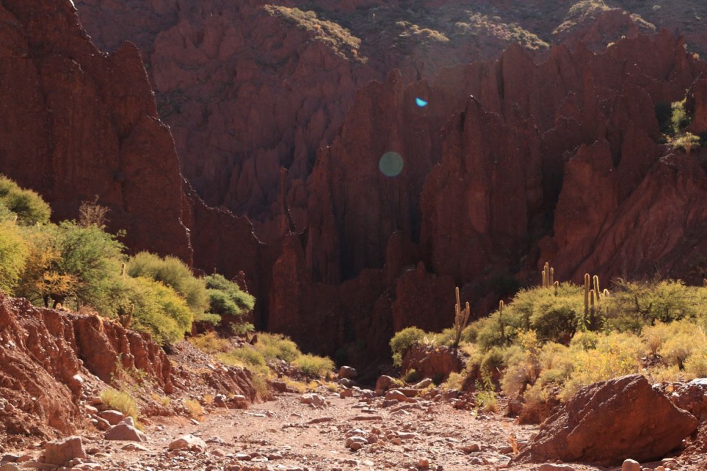 Un air de far west