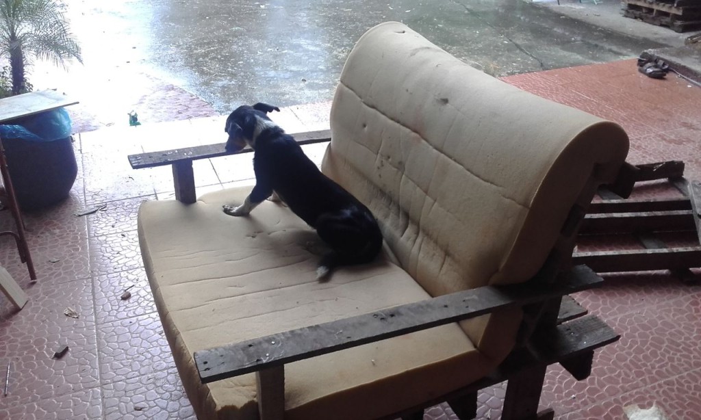 Notre sofa (ou le sien) !