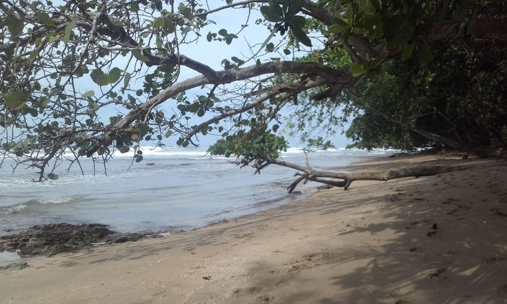 Une plage de carte postale