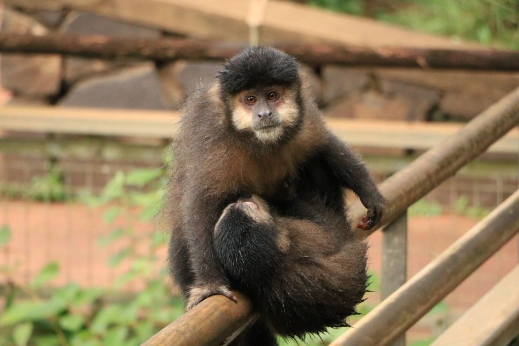Petite maman !