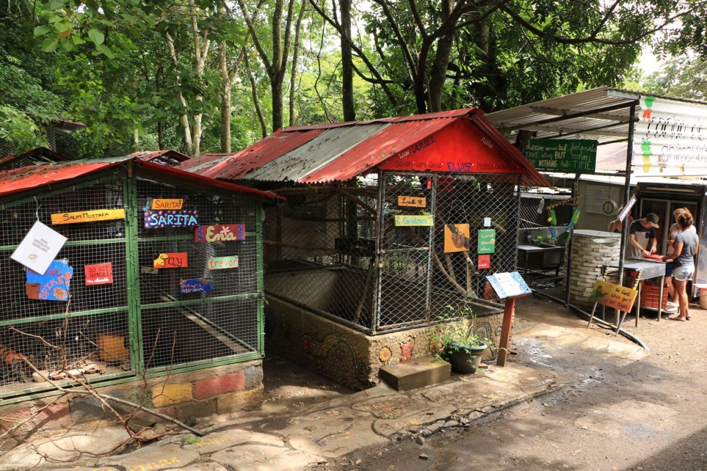 Les cages des paresseux