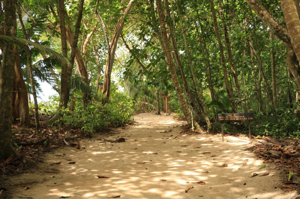 Le plein de verdure